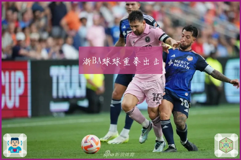 浙BA球球重拳出击