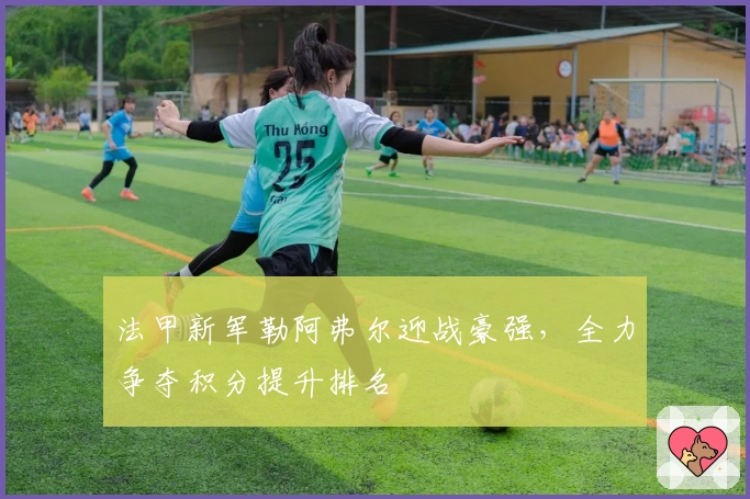 法甲新军勒阿弗尔迎战豪强，全力争夺积分提升排名