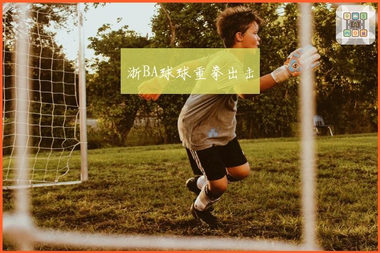 浙BA球球重拳出击