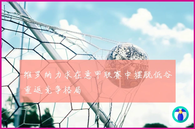 维罗纳力求在意甲联赛中摆脱低谷重返竞争格局