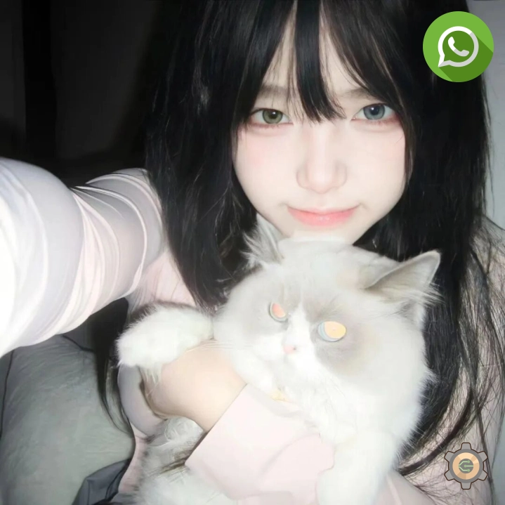 隔壁老张看直播